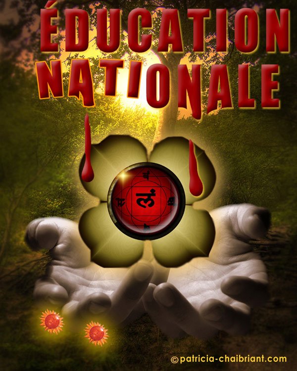 éducation nationale chakras intelligences