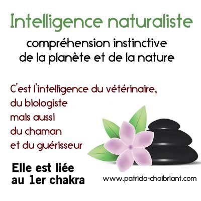 intelligences multiples, définition de l'intelligence naturaliste liée au 1er chakra